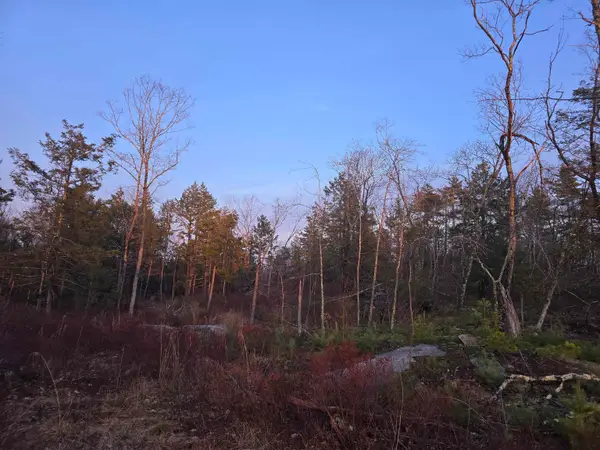 Map 104 Berry River Road #Lots 9 and 8-3, Barrington, NH 03825