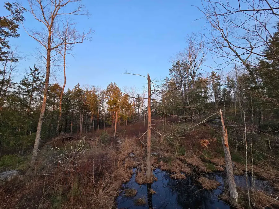Map 104 Berry River Road #Lots 9 and 8-3, Barrington, NH 03825 - #2