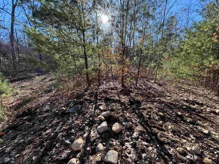 00 Simonsville Road #Lot 3, Andover, VT 05143 - #2