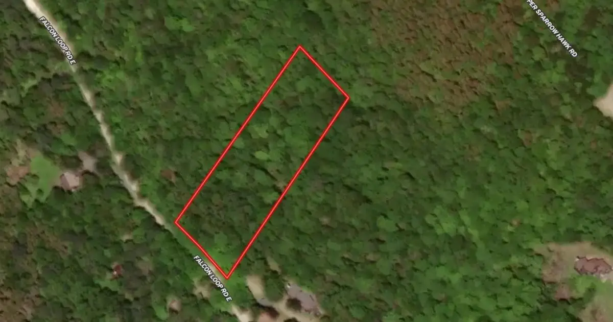 223 Falcon Loop Rd E, Rochester, VT 05767 - #1