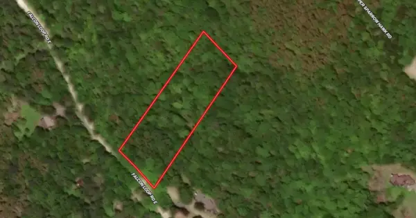 223 Falcon Loop Rd E, Rochester, VT 05767