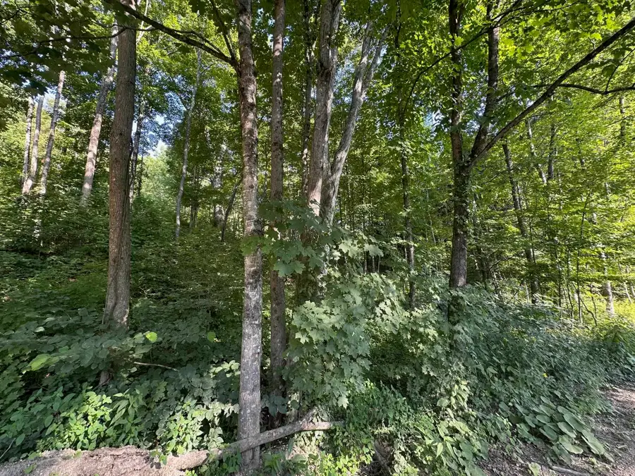 90 Old Swanzey Road, Winchester, NH 03470 - #3