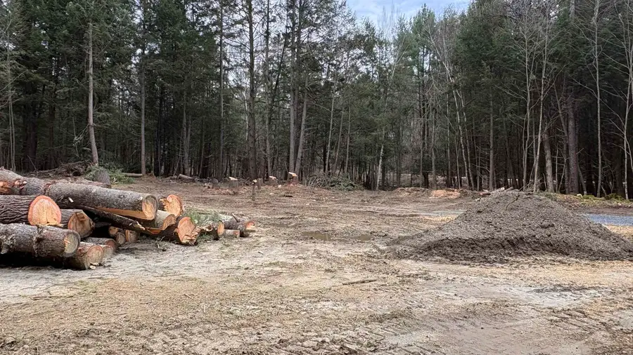 135 Forest Road, Acworth, NH 03601 - #3