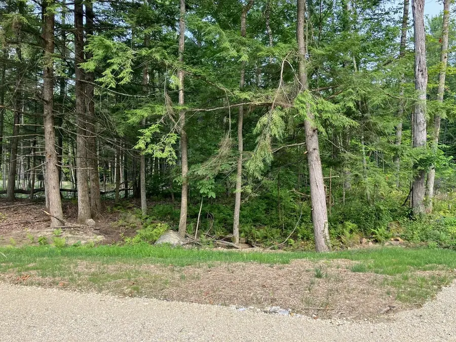 Lot 5 Fern Lake Road, Leicester, VT 05733 - #3