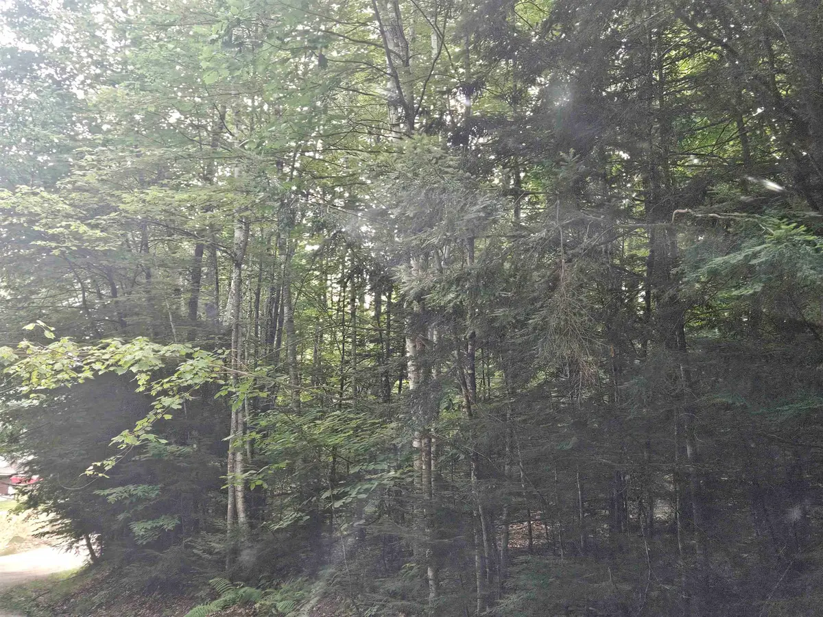 Lot 254 Kearsarge Drive, Haverhill, NH 03765 - #1