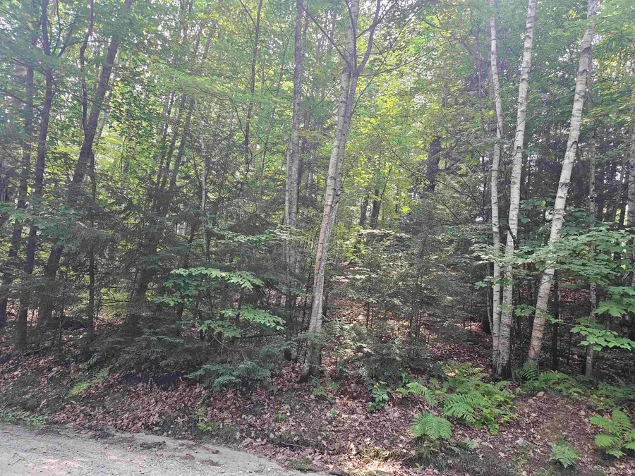 Lot 254 Kearsarge Drive, Haverhill, NH 03765 - #2