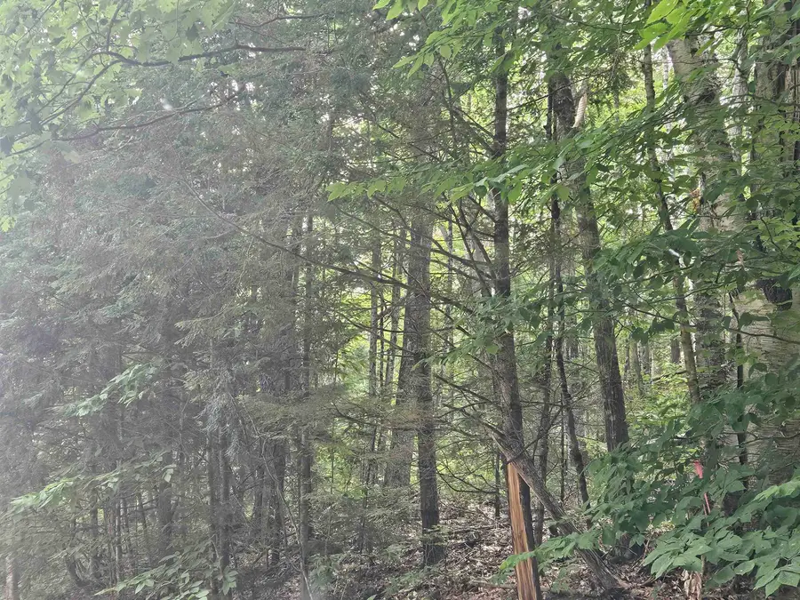 Lot 265 King Drive, Haverhill, NH 03765 - #3