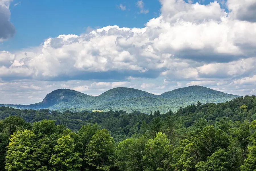 3780 Danby-Pawlet Road, Danby, VT 05739 - #2