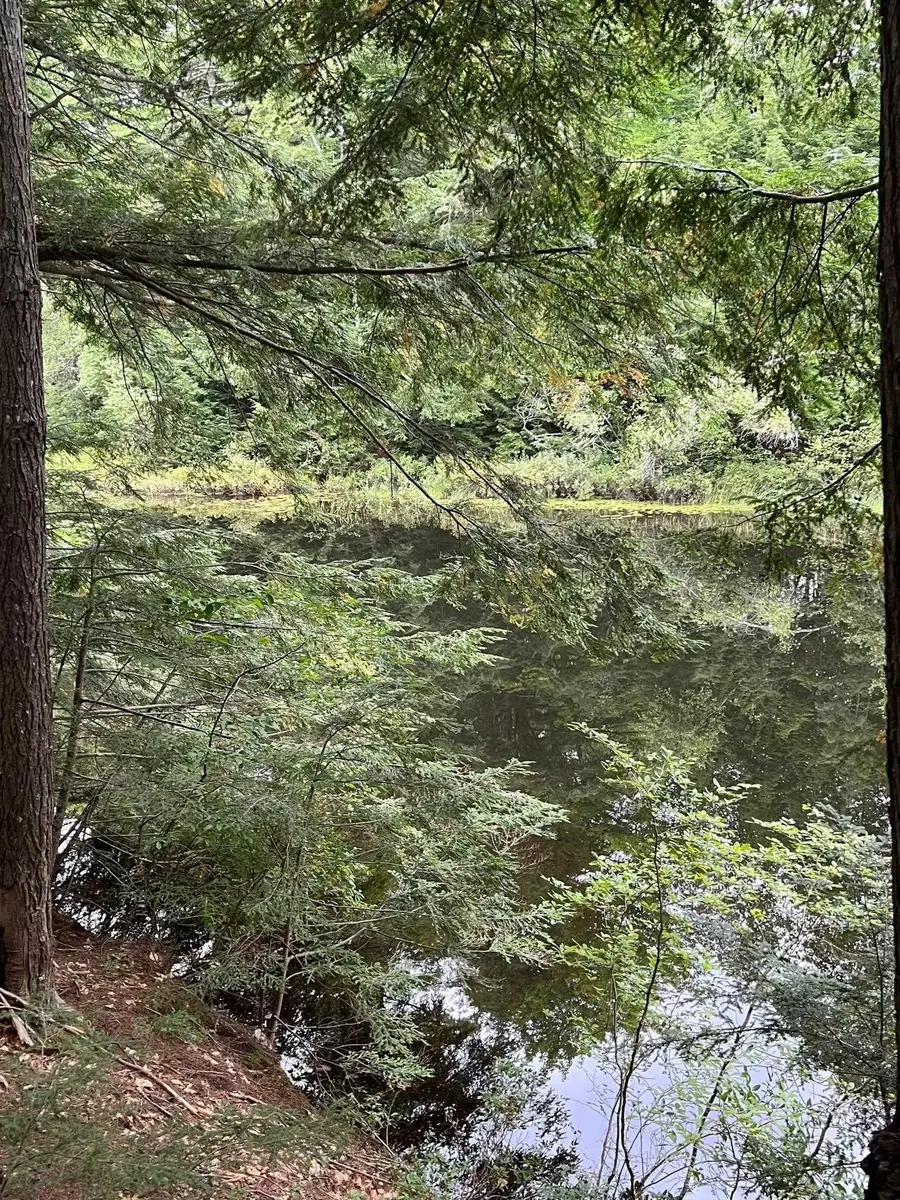 14 Little Loop Road #B218, Madison, NH 03849 - #2