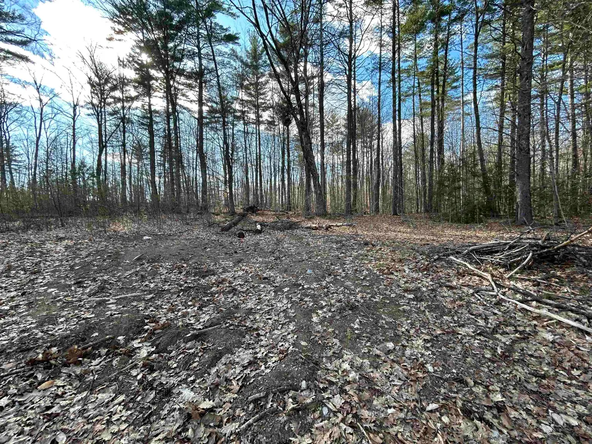 M10 L21-3 Sulphur Hill Road, Hillsborough, NH 03244 - #1