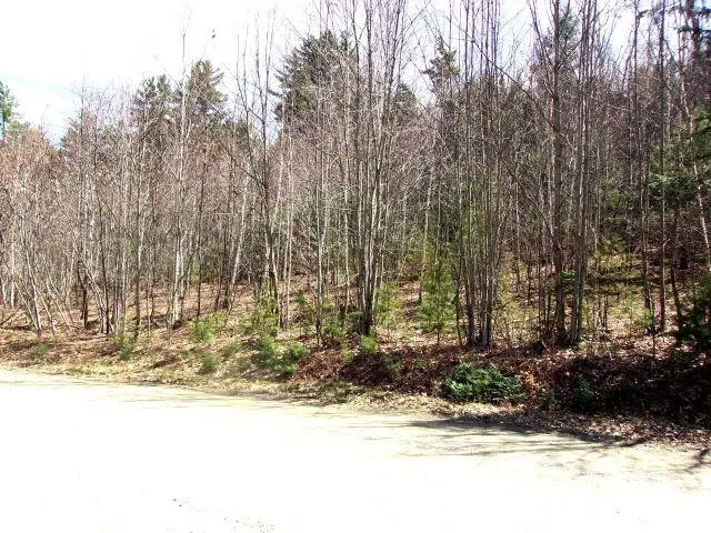 Swiftwater Circle #259, Mountain Lakes, NH 03785 - #1