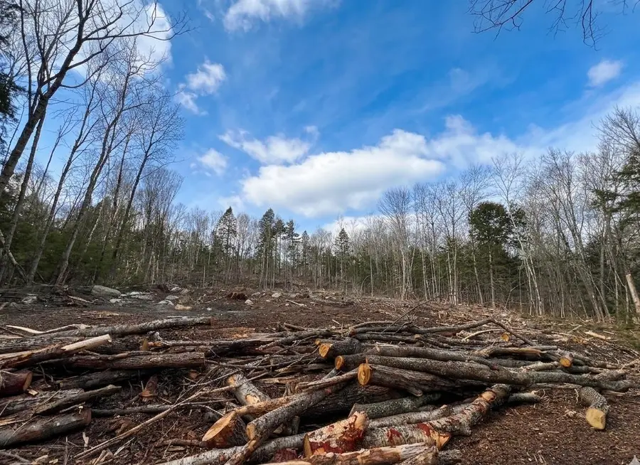 Lot 14 NorthEast Pond Road, Milton, NH 03851 - #2
