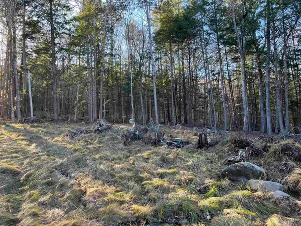 11 Raccoon Hill Road #Map 235 Lot11, Salisbury, NH 03268