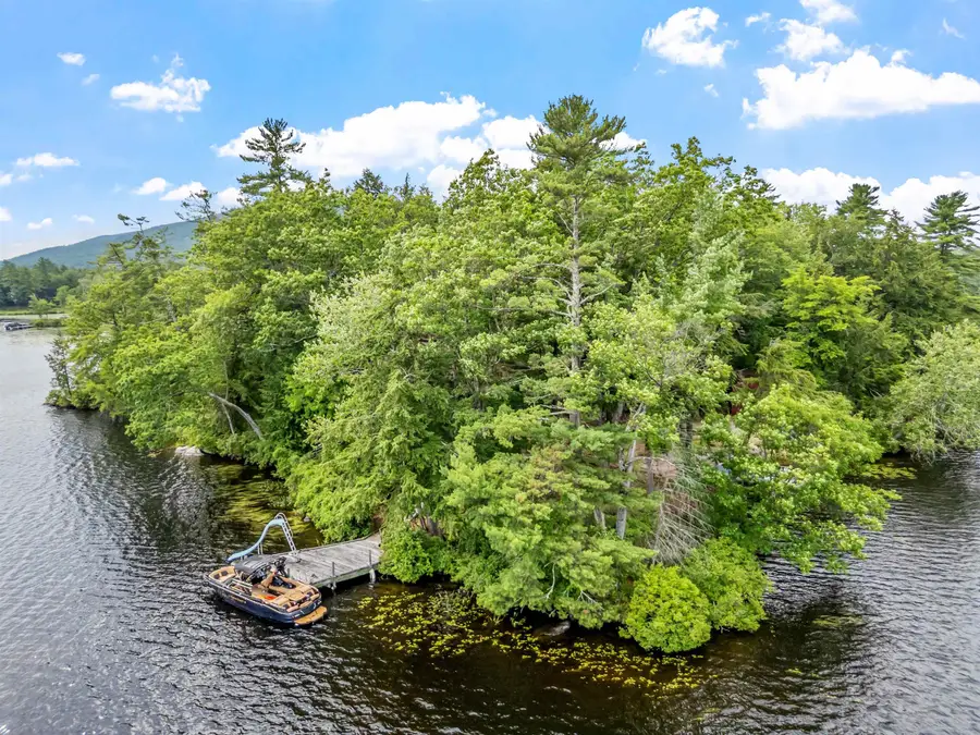 2 Little Badger Island, Moultonborough, NH 03254 - #2