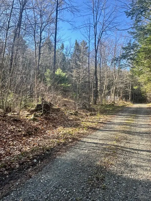 0 Hunter Brook Road, Marlboro, VT 05344