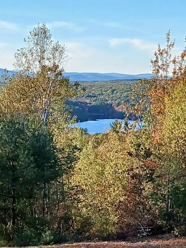 000 Thistle Road #Tax Map 423 Lot 48, Gilmanton, NH 03237