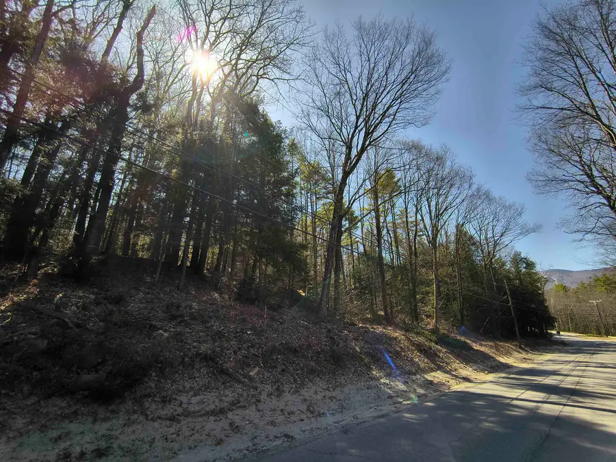 0 Littlefield Road, Danbury, NH 03230 - #3