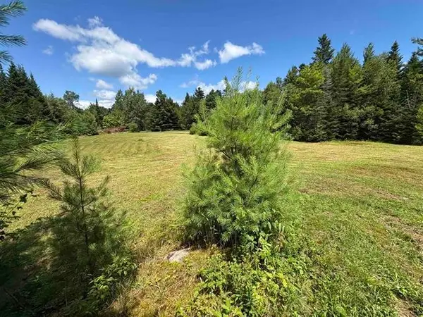4366 VT Rt 100 N, Hyde Park, VT 05655