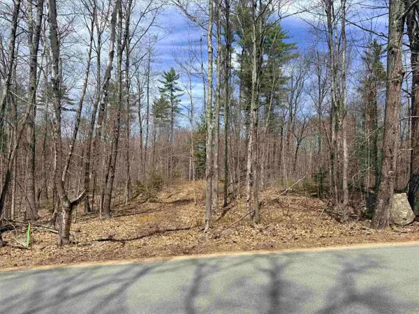 Map 208 Lot 8-1 Baptist Hill Road, Canterbury, NH 03224