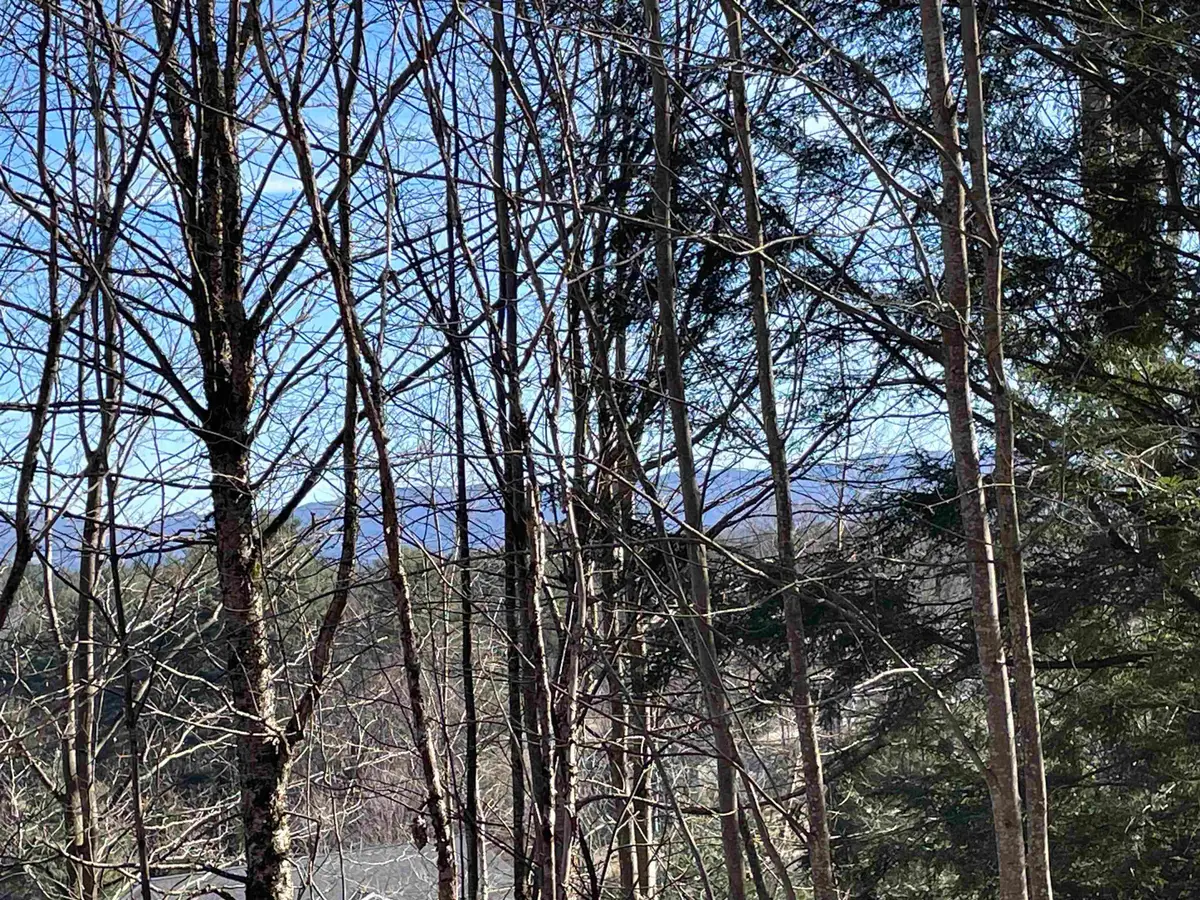Lot 5 Haley Drive, Hyde Park, VT 05655 - #1