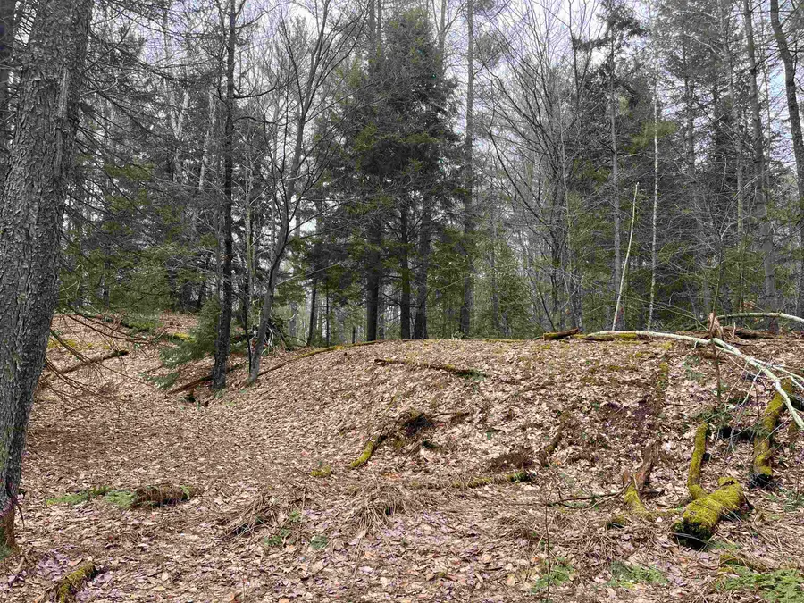 Lot 5 Haley Drive, Hyde Park, VT 05655 - #3