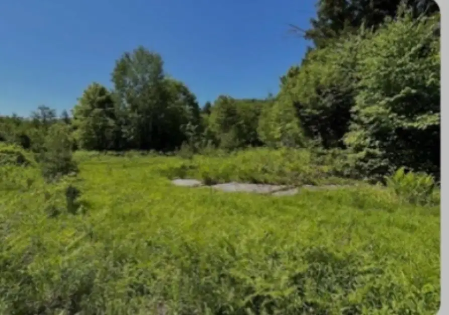 0 Alder Plains Road, Bradford, NH 03221 - #1