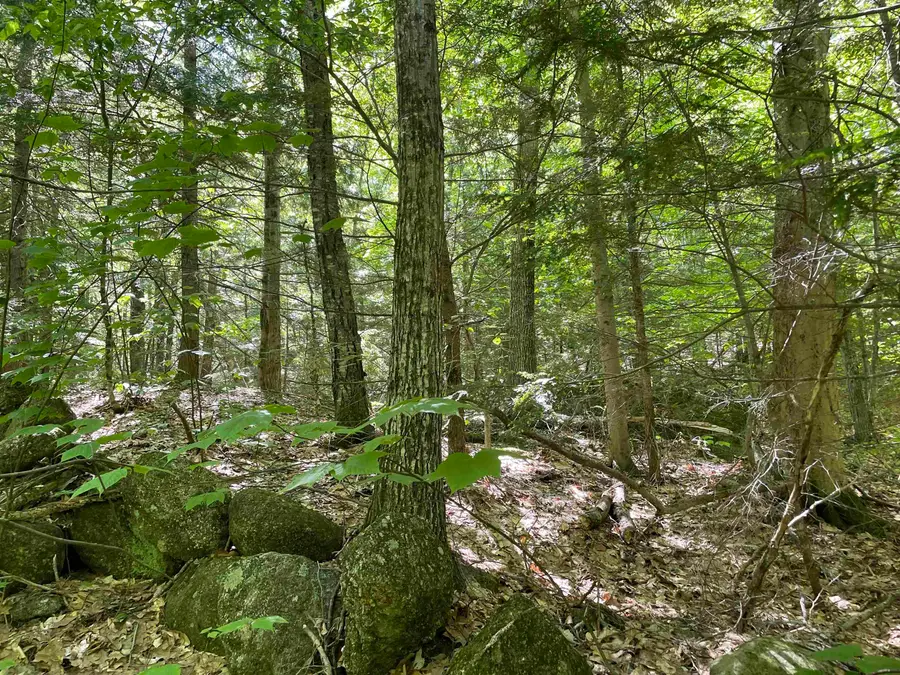 0 Alder Plains Road, Bradford, NH 03221 - #2