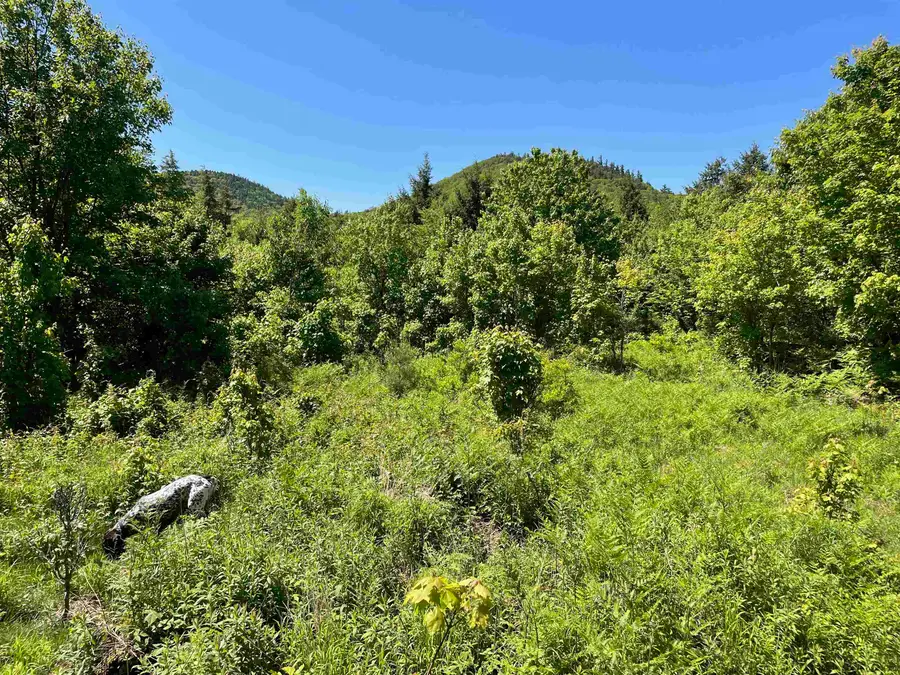 0 Alder Plains Road, Bradford, NH 03221 - #3