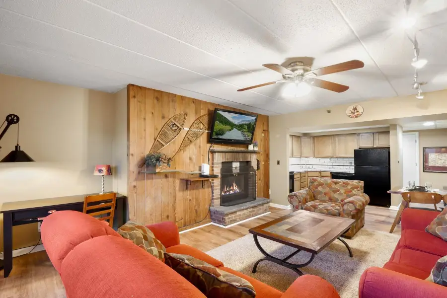 137 East Mountain Road #IID02, Killington, VT 05751 - #3