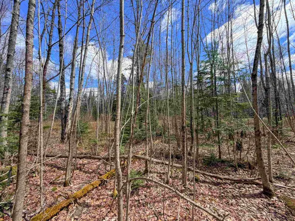 Lot 4 Oregon Road, Concord, VT 05824