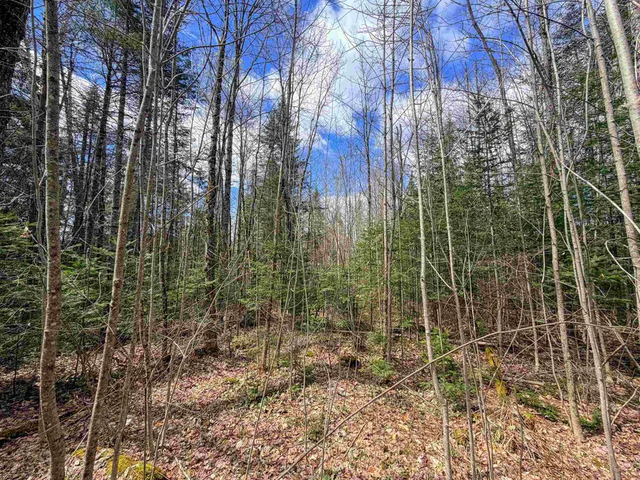 Lot 4 Oregon Road, Concord, VT 05824 - #2