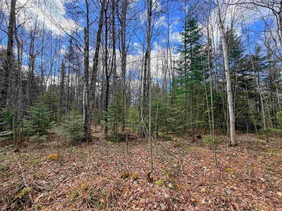 Lot 4 Oregon Road, Concord, VT 05824 - #3