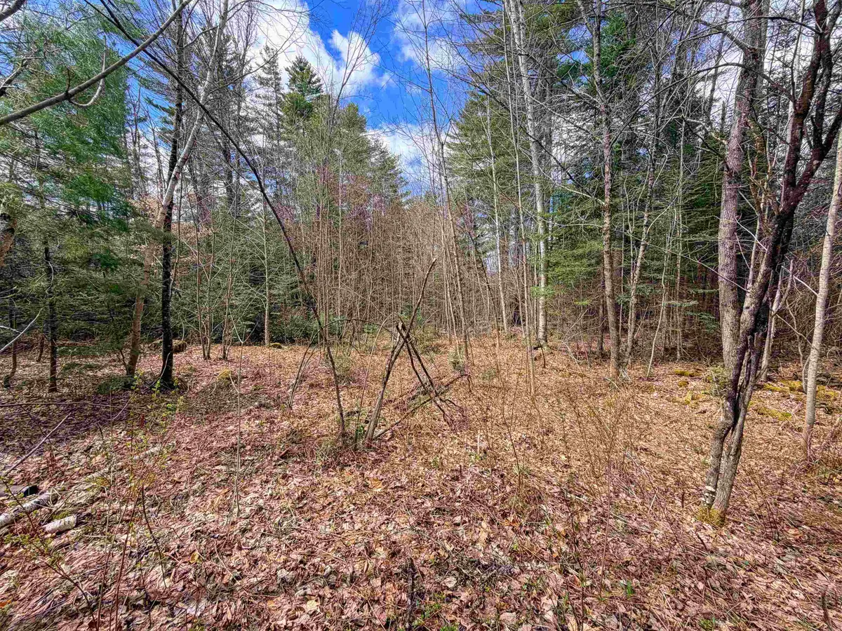 538 Oregon Road, Concord, VT 05824 - #1