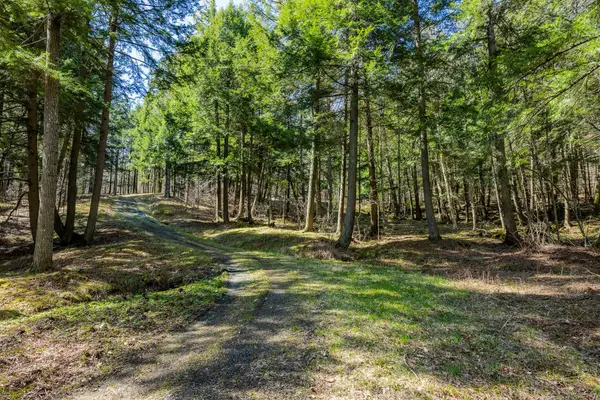 334 Log Cabin Drive, Pomfret, VT 05067