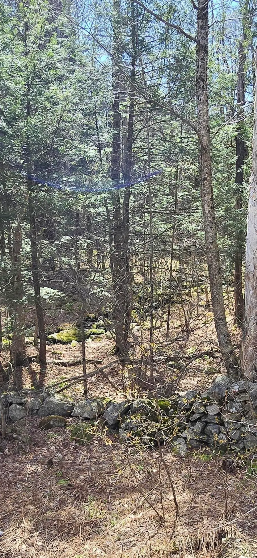0 Jacobs Ladder Road, Becket, MA 01223 - #3