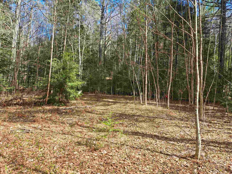 184 Brock Hill Road, Orange, NH 03741 - #2