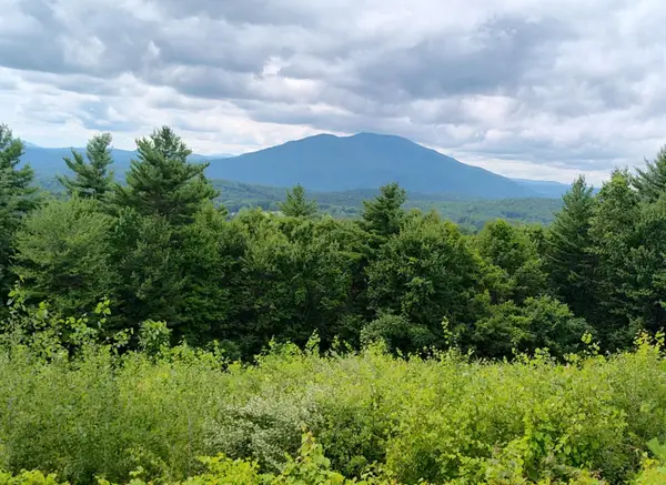 0 Cat Hole Road, Claremont, NH 03743