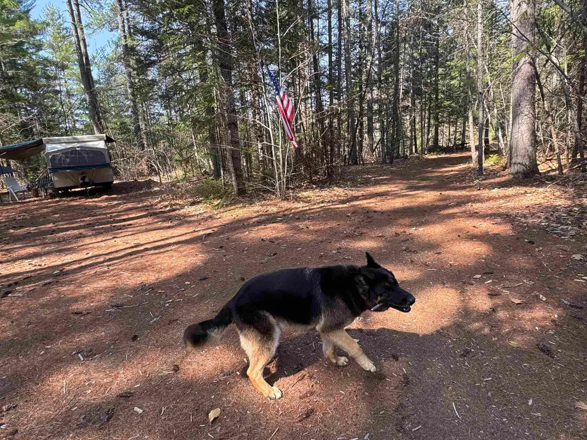 00 Province Lake Road, Effingham, NH 03882 - #1