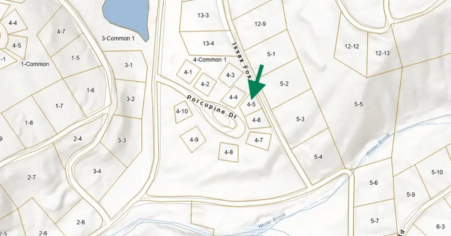 11-4-5 Porcupine Drive, Campton, NH 03223 - #3