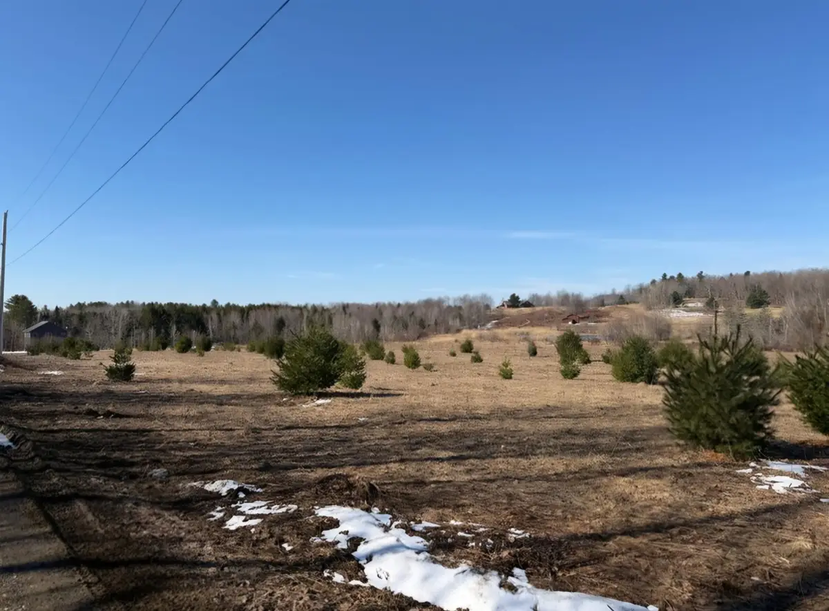 0 Fox Meadow Lane #Lot 7, Wolcott, VT 05680 - #1
