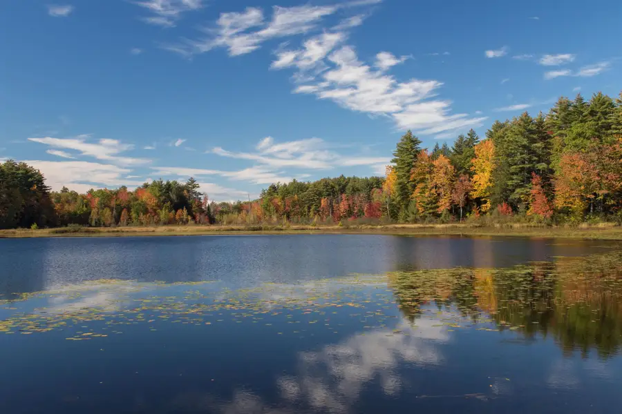 900 Bunker Hill Road, South Tamworth, NH 03883 - #3