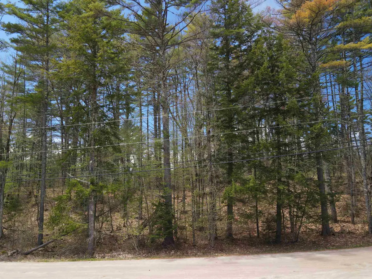 12 Eidelweiss Drive, Madison, NH 03849 - #1