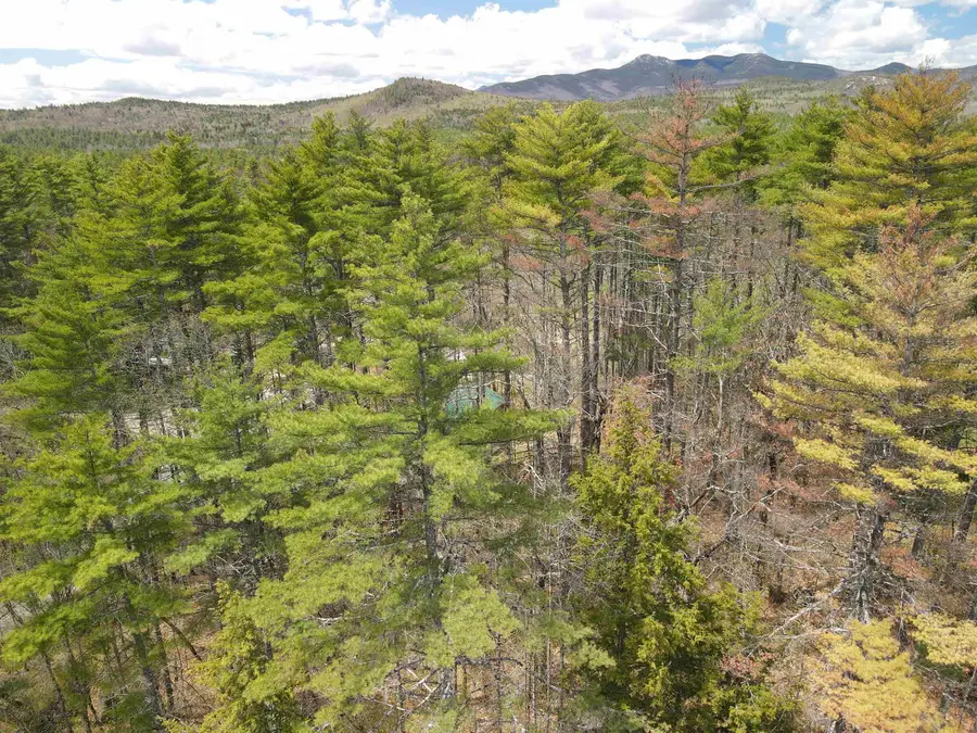 12 Eidelweiss Drive, Madison, NH 03849 - #3