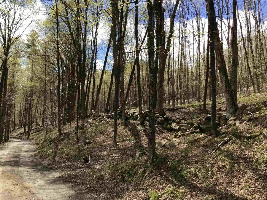 475 Threshold Way, Corinth, VT 05039 - #3
