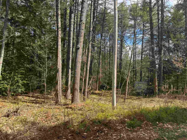 0 Riverwood Circle #12, Effingham, NH 03882