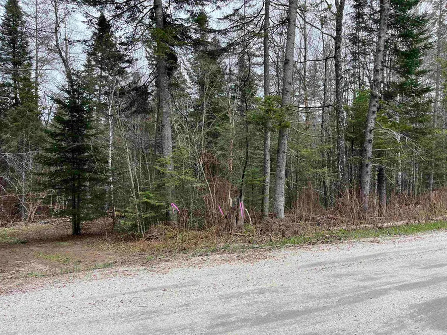 TBD Center Pond Road, Newark, VT 05871 - #2