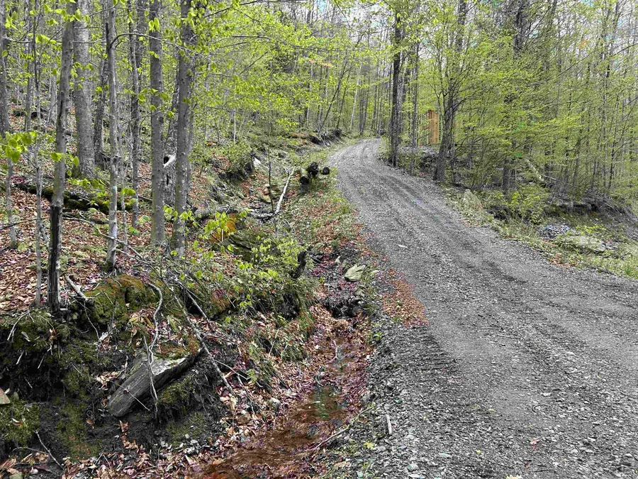 188 Rattlesnake Mountain Road, Townshend, VT 05353 - #3