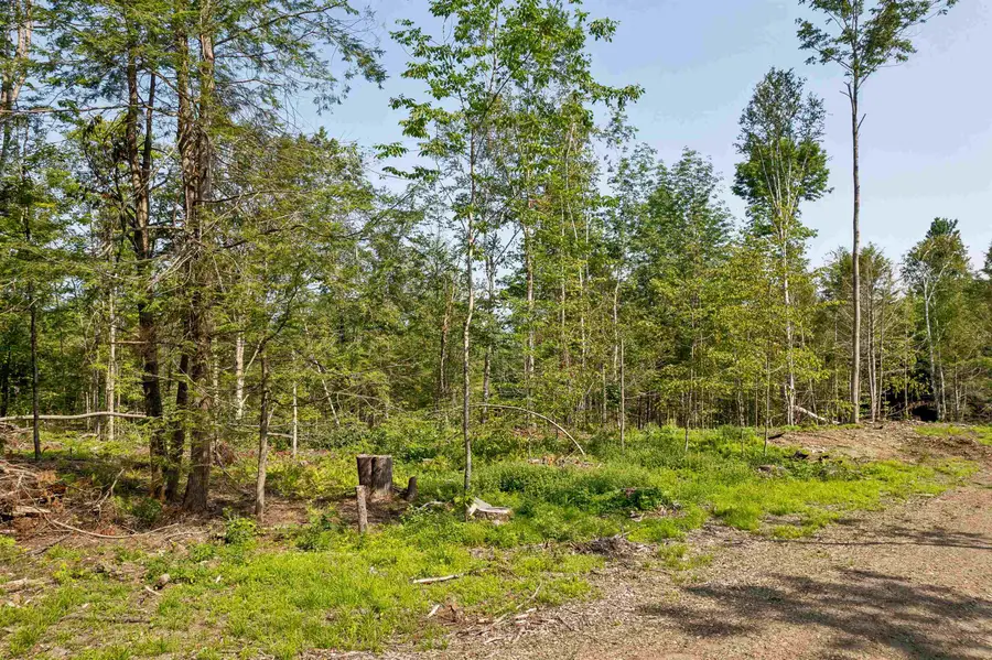 00 Court Street #1-4, Haverhill, NH 03765 - #3