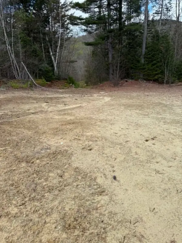 Lot 7 Bog Road, Enfield, NH 03748