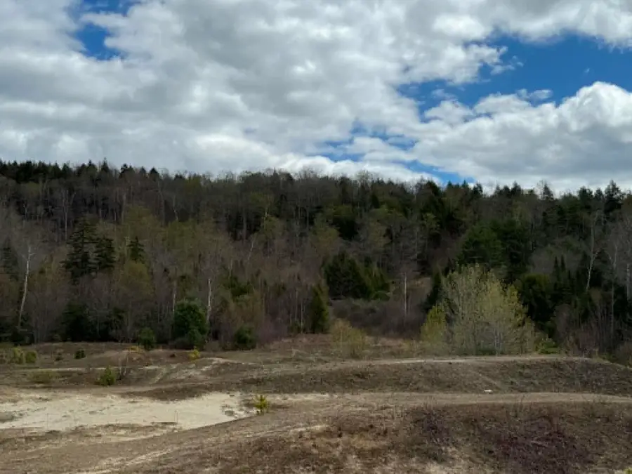 Lot 7 Bog Road, Enfield, NH 03748 - #2